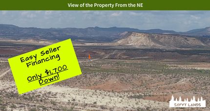 Undeveloped Land in Brewster County, Texas