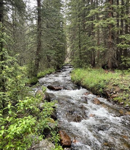 Riverfront Property in Park County, Colorado