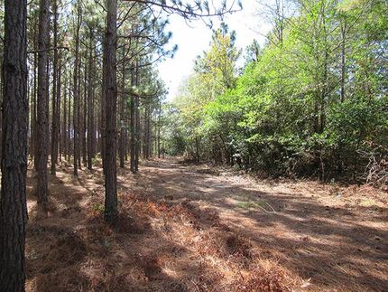 Farm and Ranch in Aiken County, South Carolina