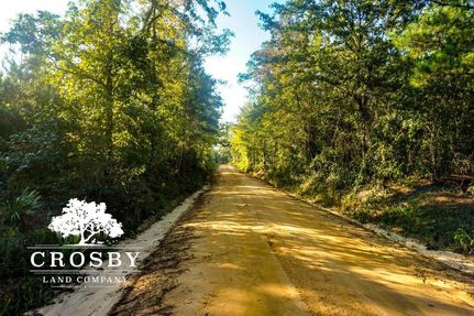 Timberland Property in Jenkins County, Georgia