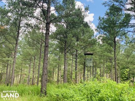 Land in Chester County, South Carolina