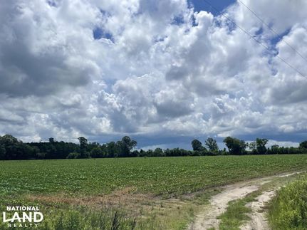 Land in Berkeley County, South Carolina