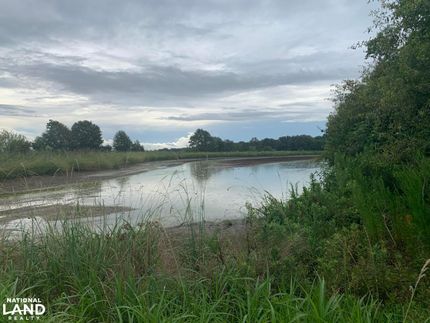 Farm and Ranch in Evangeline Parish, Louisiana