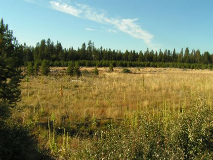 Undeveloped Land in Klamath County, Oregon