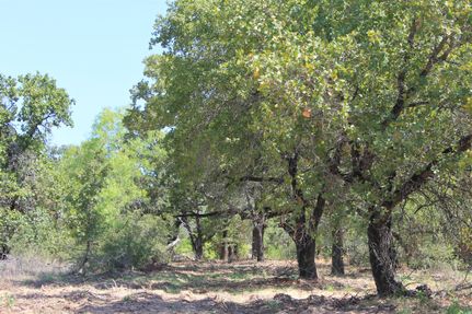 Undeveloped Land in Atascosa County, Texas