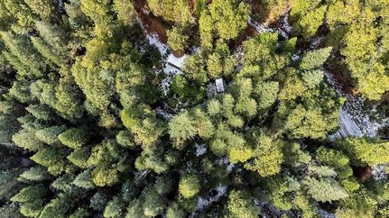 Undeveloped Land in Placer County, California