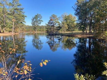 Farm and Ranch in Williamsburg County, South Carolina
