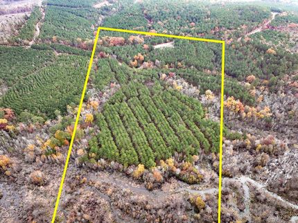 Recreational Property in Marion County, Texas