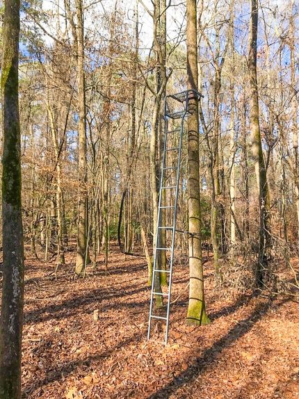 Hunting Property in Marion County, Texas