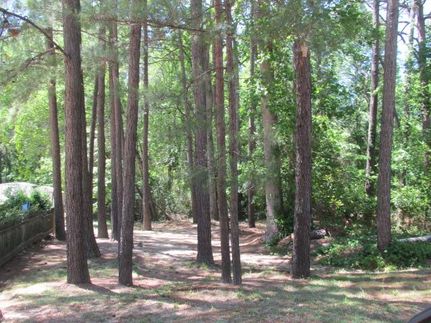 Farm and Ranch in Lee County, South Carolina
