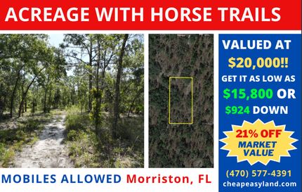 Farm and Ranch in Levy County, Florida