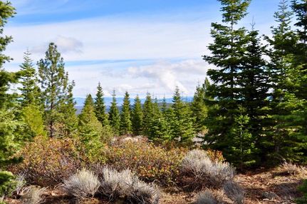 Commercial Property in Modoc County, California