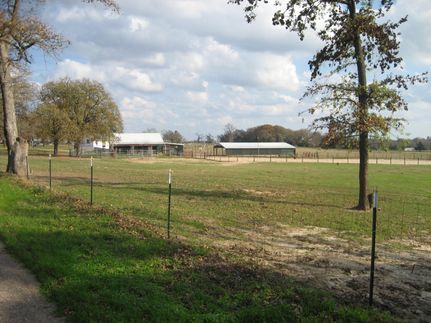 Undeveloped Land in Houston County, Texas