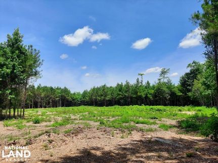 Recreational Property in Montgomery County, Alabama
