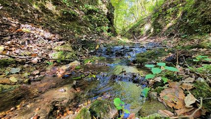 Lakefront Property in Douglas County, Missouri