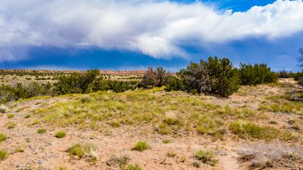 Farm and Ranch in Apache County, Arizona