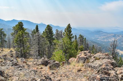 Undeveloped Land in Cascade County, Montana