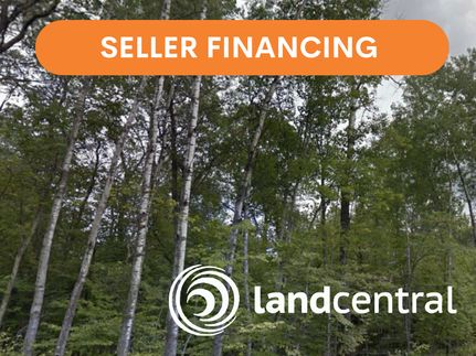 Undeveloped Land in Crow Wing County, Minnesota