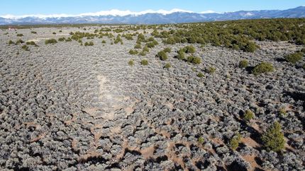 Undeveloped Land in Costilla County, Colorado