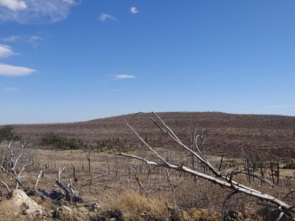 Land in Torrance County, New Mexico