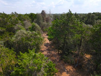 Undeveloped Land in Gonzales County, Texas