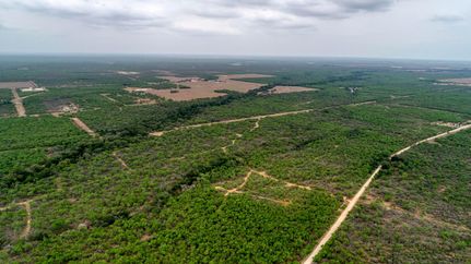 Recreational Property in Atascosa County, Texas