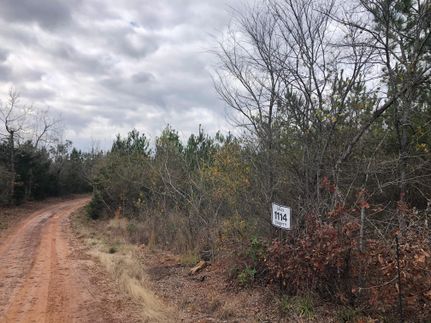 Recreational Property in Cass County, Texas