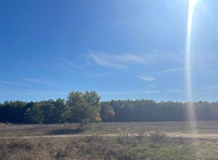 Timberland Property in Manistee County, Michigan