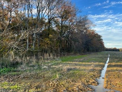 Land in West Carroll Parish, Louisiana