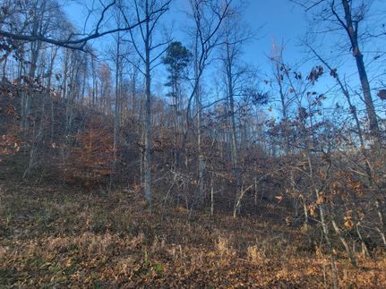 Timberland Property in Ritchie County, West Virginia
