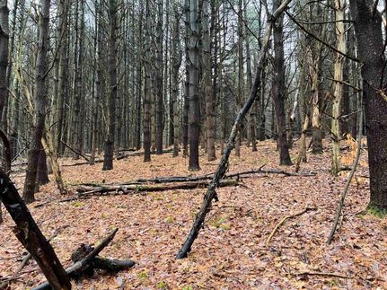 Farm and Ranch in Tioga County, New York