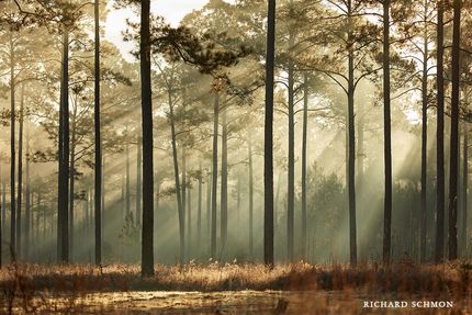 Recreational Property in Charleston County, South Carolina