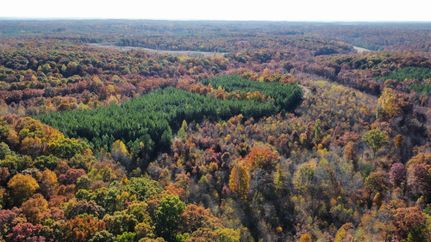 Timberland Property in Stewart County, Tennessee