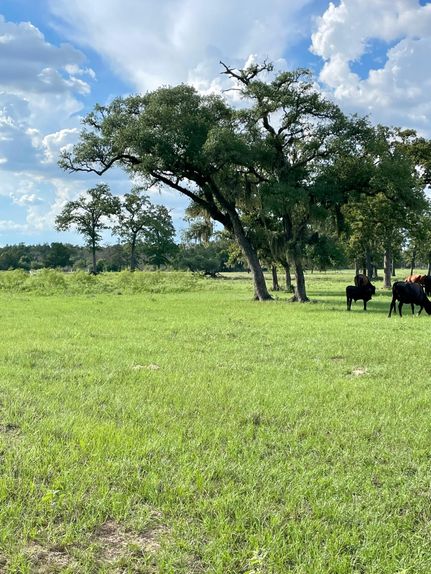 Farm and Ranch in Colorado County, Texas
