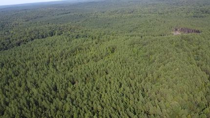 Commercial Property in Hardeman County, Tennessee