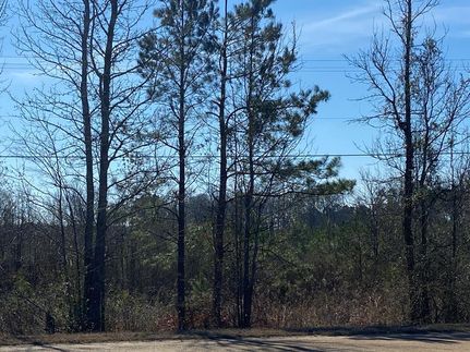 Timberland Property in Lincoln County, Mississippi