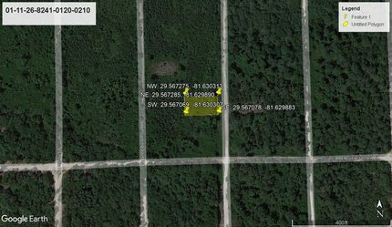 Undeveloped Land in Putnam County, Florida