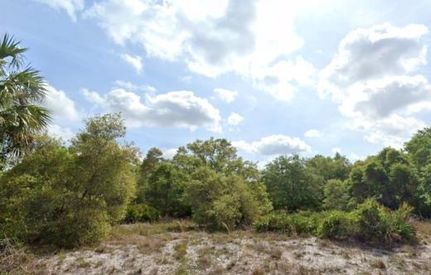 Undeveloped Land in Charlotte County, Florida