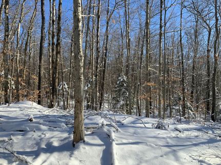 Farm and Ranch in Fulton County, New York