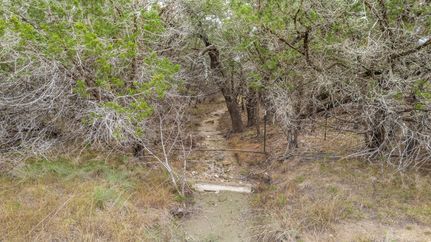 Undeveloped Land in Blanco County, Texas