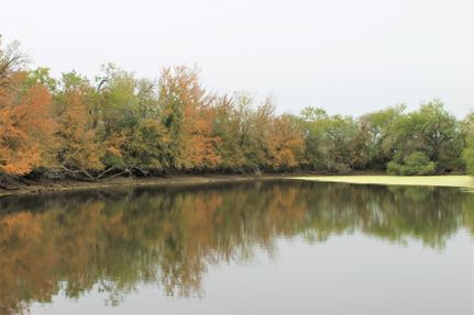 Land in Atascosa County, Texas