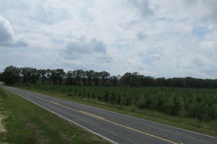 Land in Lee County, South Carolina