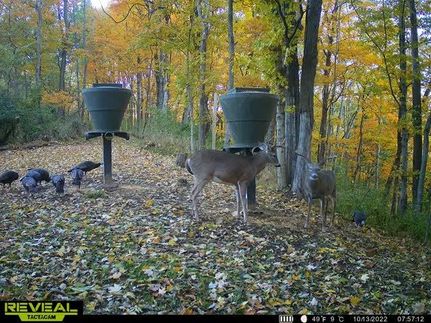 Farm and Ranch in Brown County, Ohio
