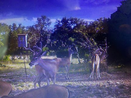 House in Edwards County, Texas