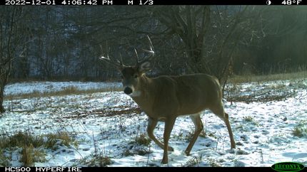 Farm and Ranch in Winona County, Minnesota