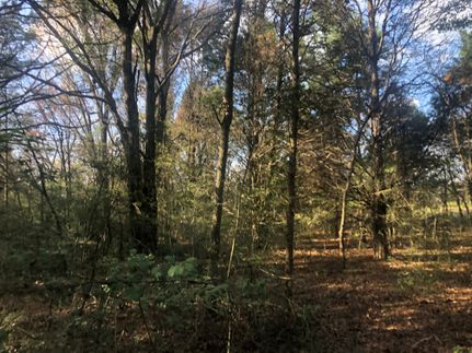 Farm and Ranch in Freestone County, Texas