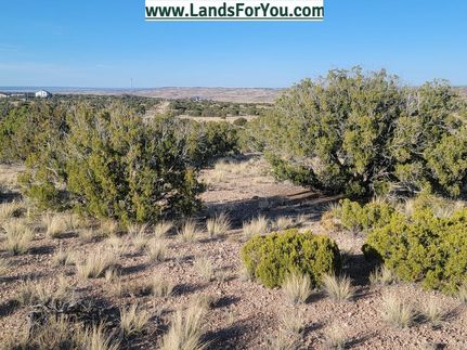 Homesite in Apache County, Arizona