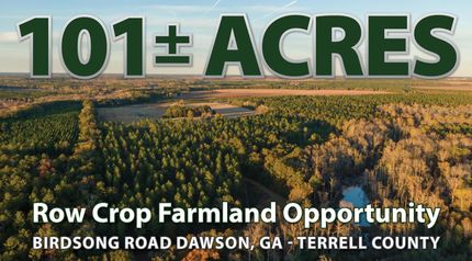 Timberland Property in Terrell County, Georgia