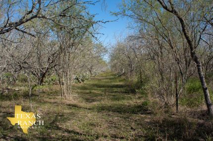 Undeveloped Land in Karnes County, Texas