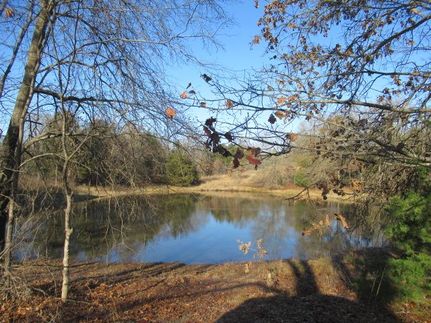 Undeveloped Land in Atoka County, Oklahoma